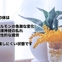 画像326