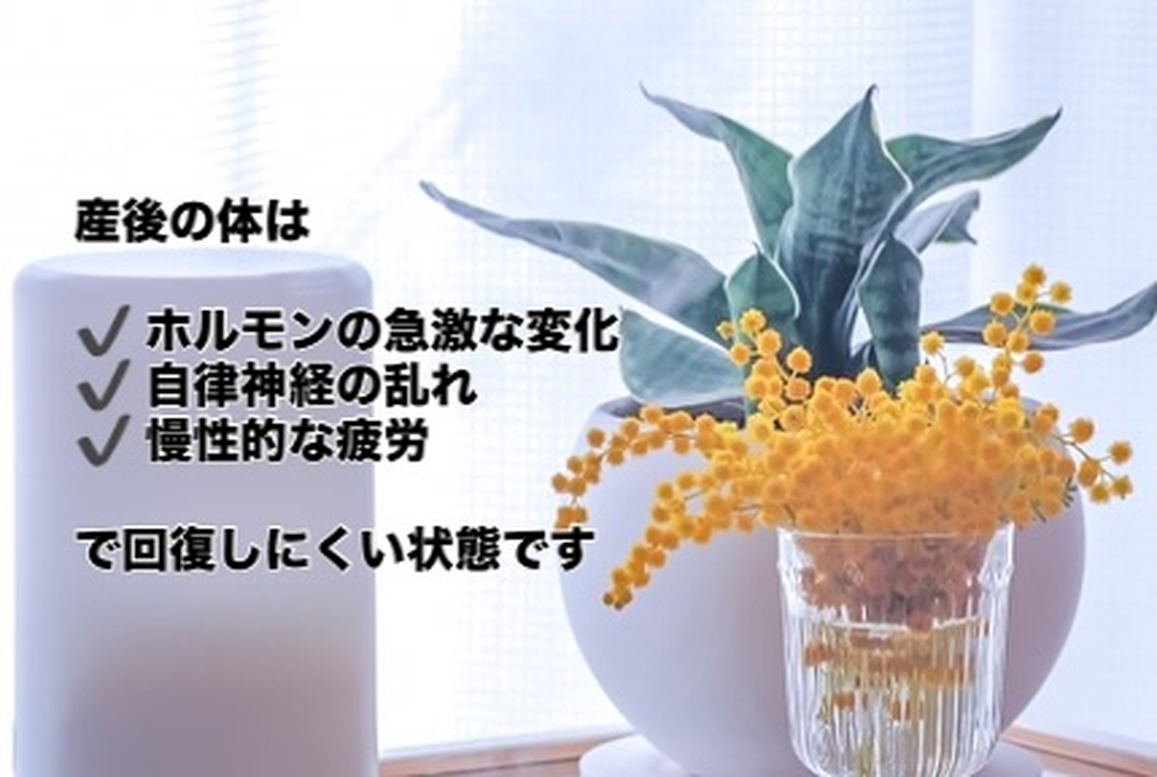 画像326