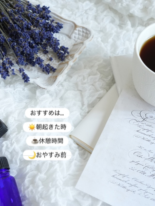画像453