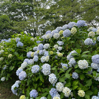 画像487
