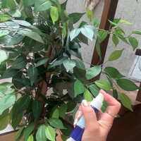 画像543