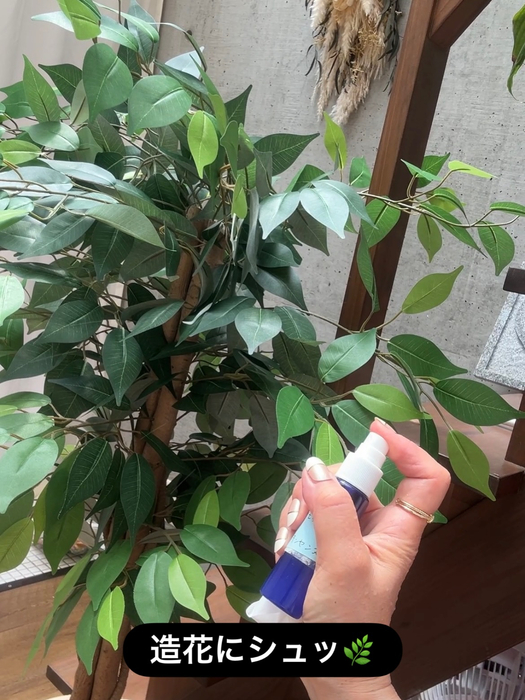 画像543