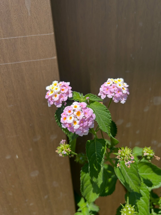 画像553