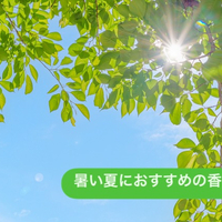 画像556