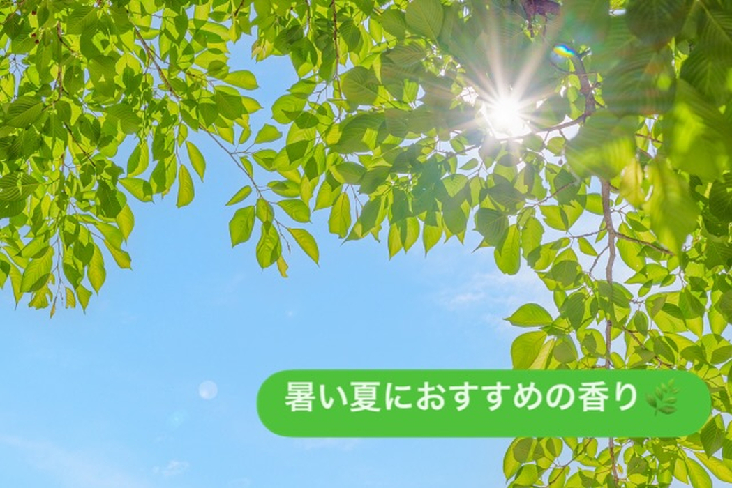 画像556