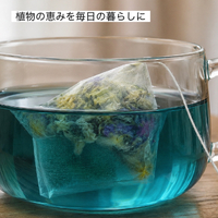 画像575