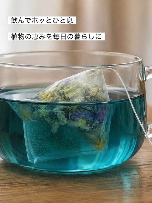 画像575