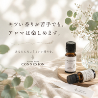 画像593